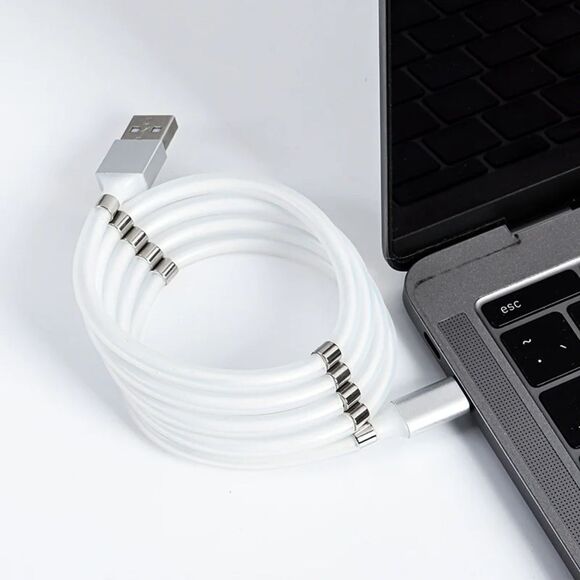 NIB Doohickey Magnet Cable Organizer Type C to USB Cable for Android - Picture 1 of 3